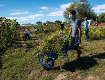 a student pushing a wheel barrel on a farm