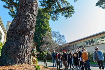 Students watching a teacher under a large tree