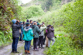 group of students on a trail looking through binoculars at birds