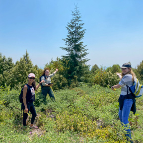 Students standing in front of a tree