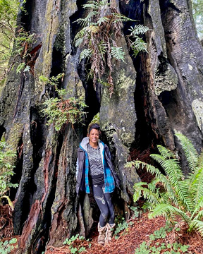 Valetta standing in front of a large redwood tree