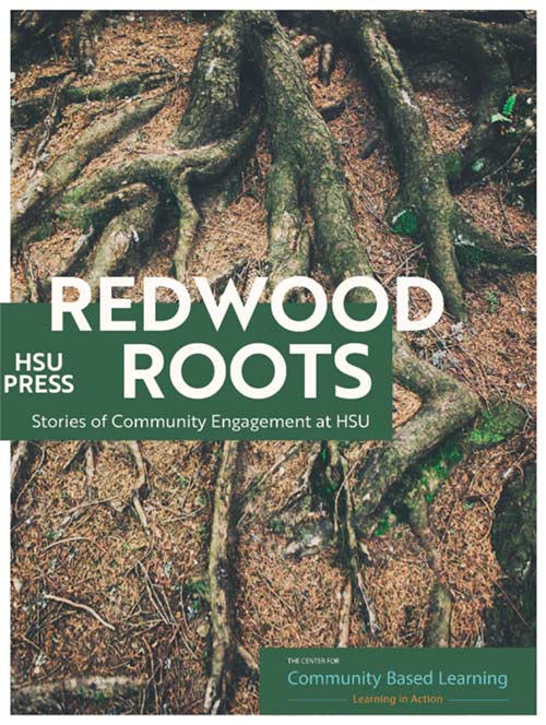 Redwood Roots